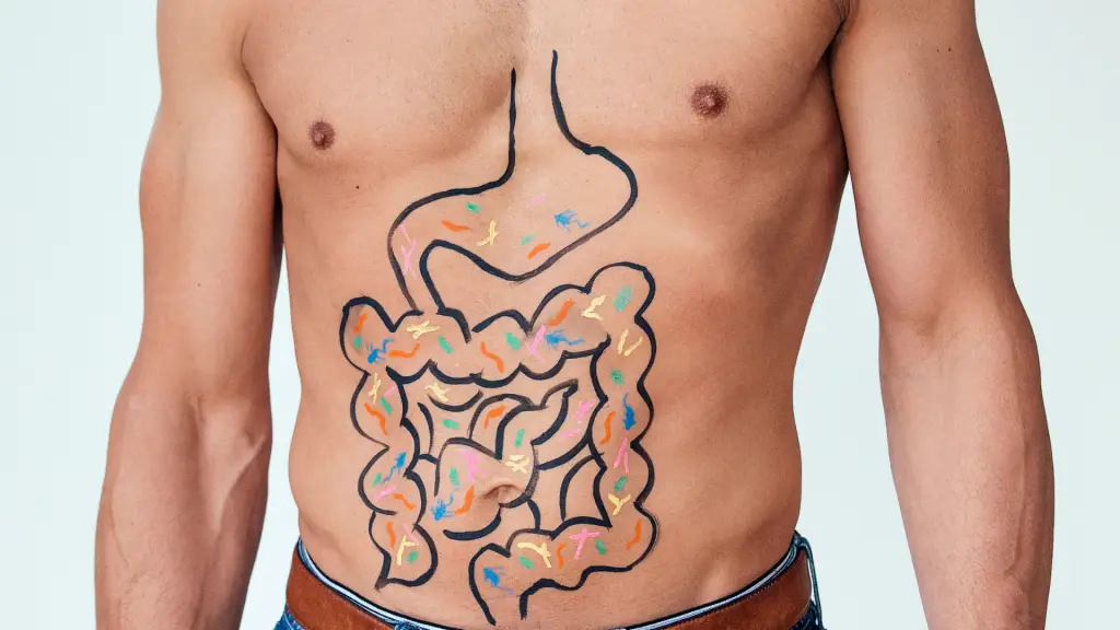microbiota